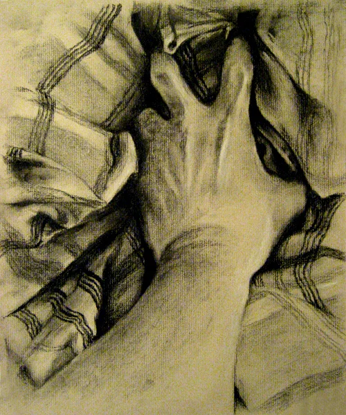 Hand_Study_4_by_ethician.jpg