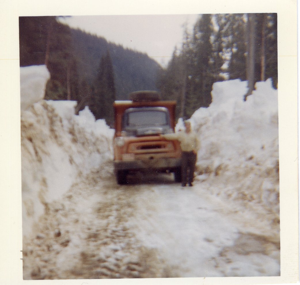 "Evergreen Playground" Film Screening - Brown Bag History, December 2nd