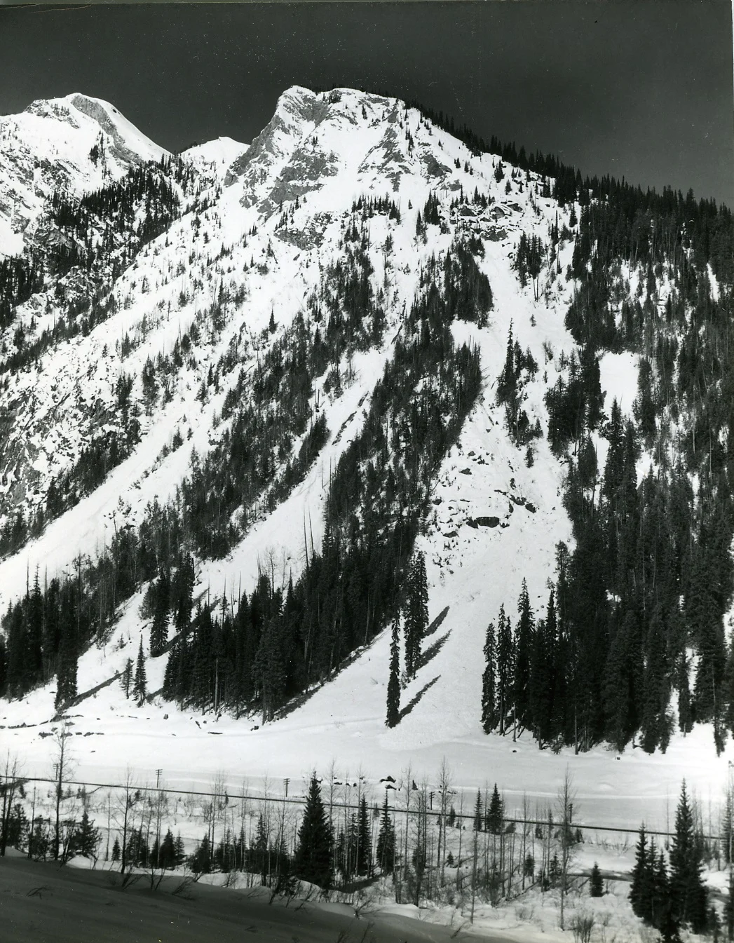 PSA.15 Avalanche paths at Cougar Corner. Future highway at toe of forest.