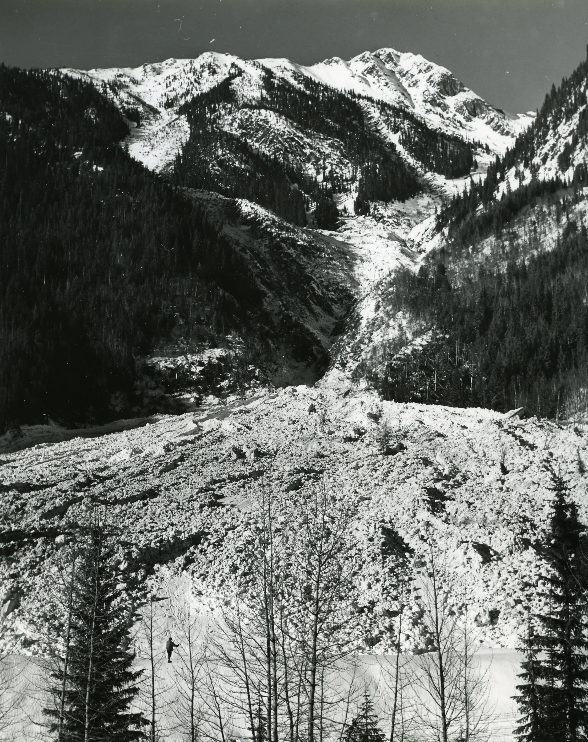 PSA.19 Unusually large avalanche at Camp Path, Jan. 20, 1961