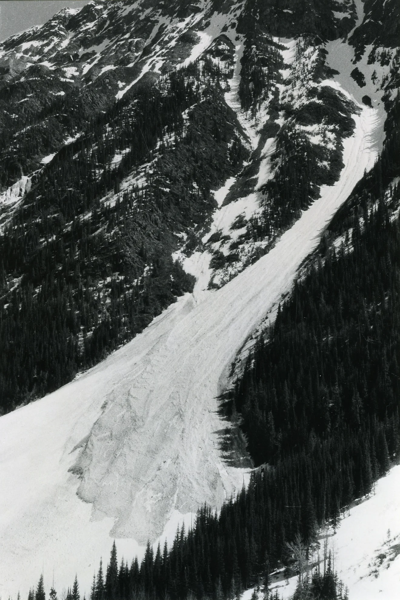 PSA.47 Avalanche path of Mt. McDonald