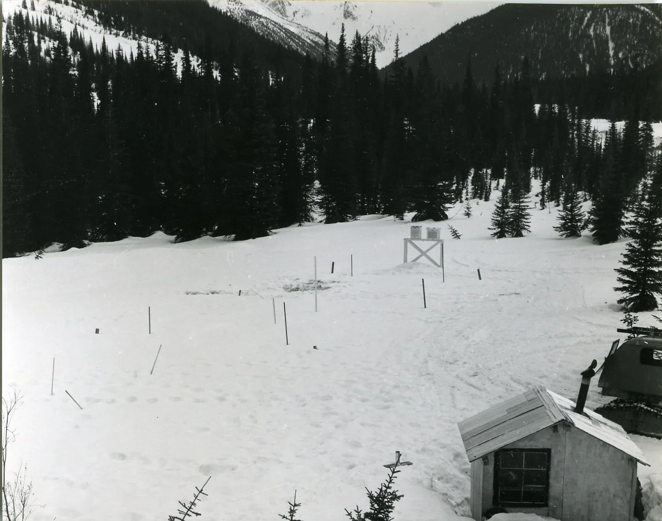 PSA.53 Snow study plot on Rogers Pass Summit.