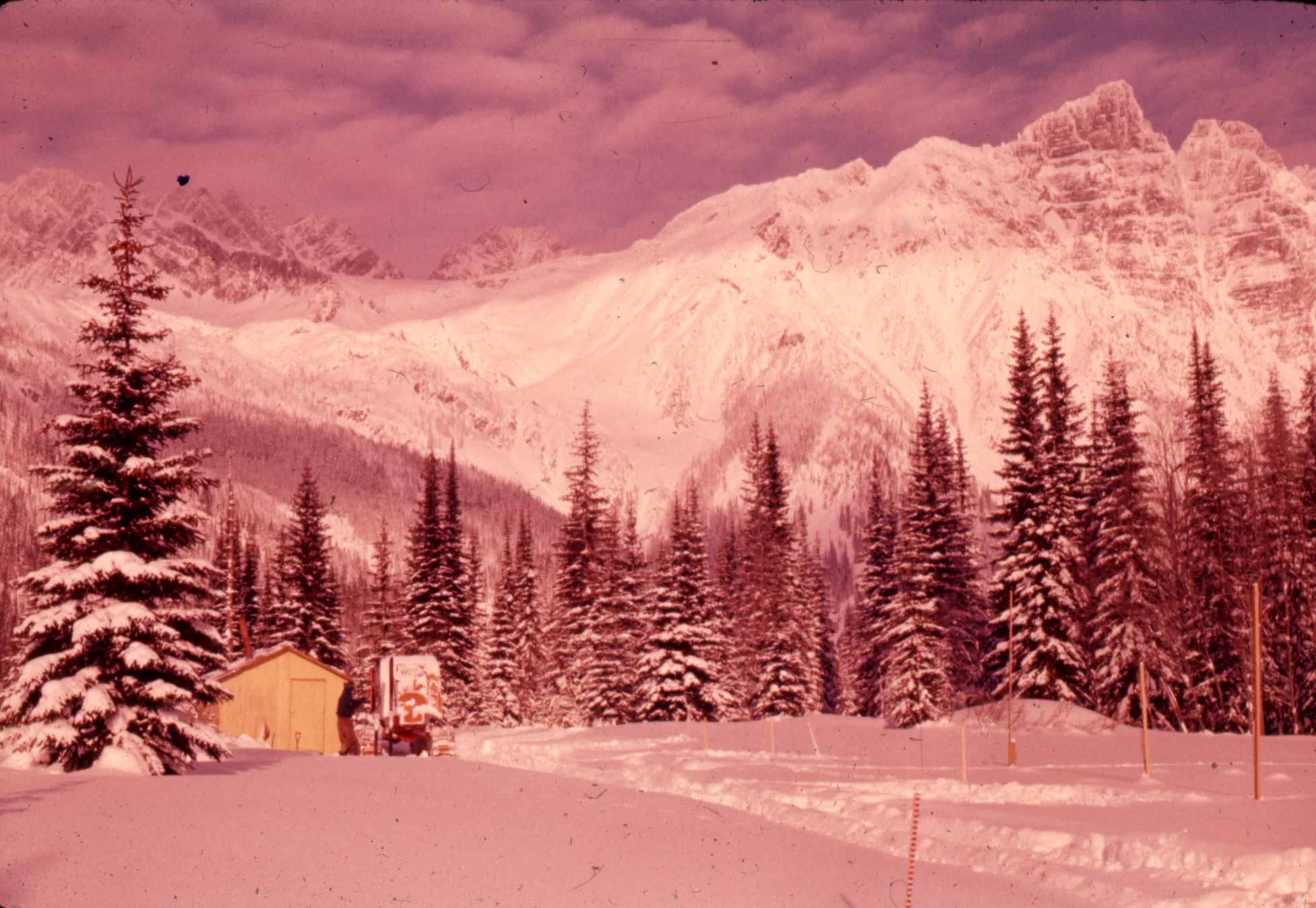 PSS.6 Study Plot, Rogers Pass Summitt. Feb. 1968