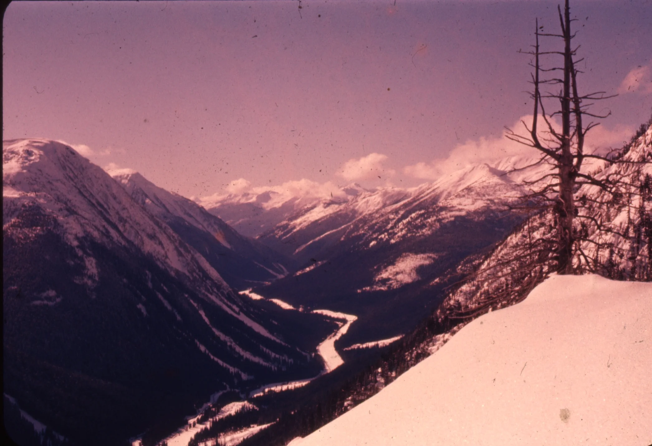 PSS.9 View of Cougar Corner to West. Illecillewaet Valley. Feb. 1958