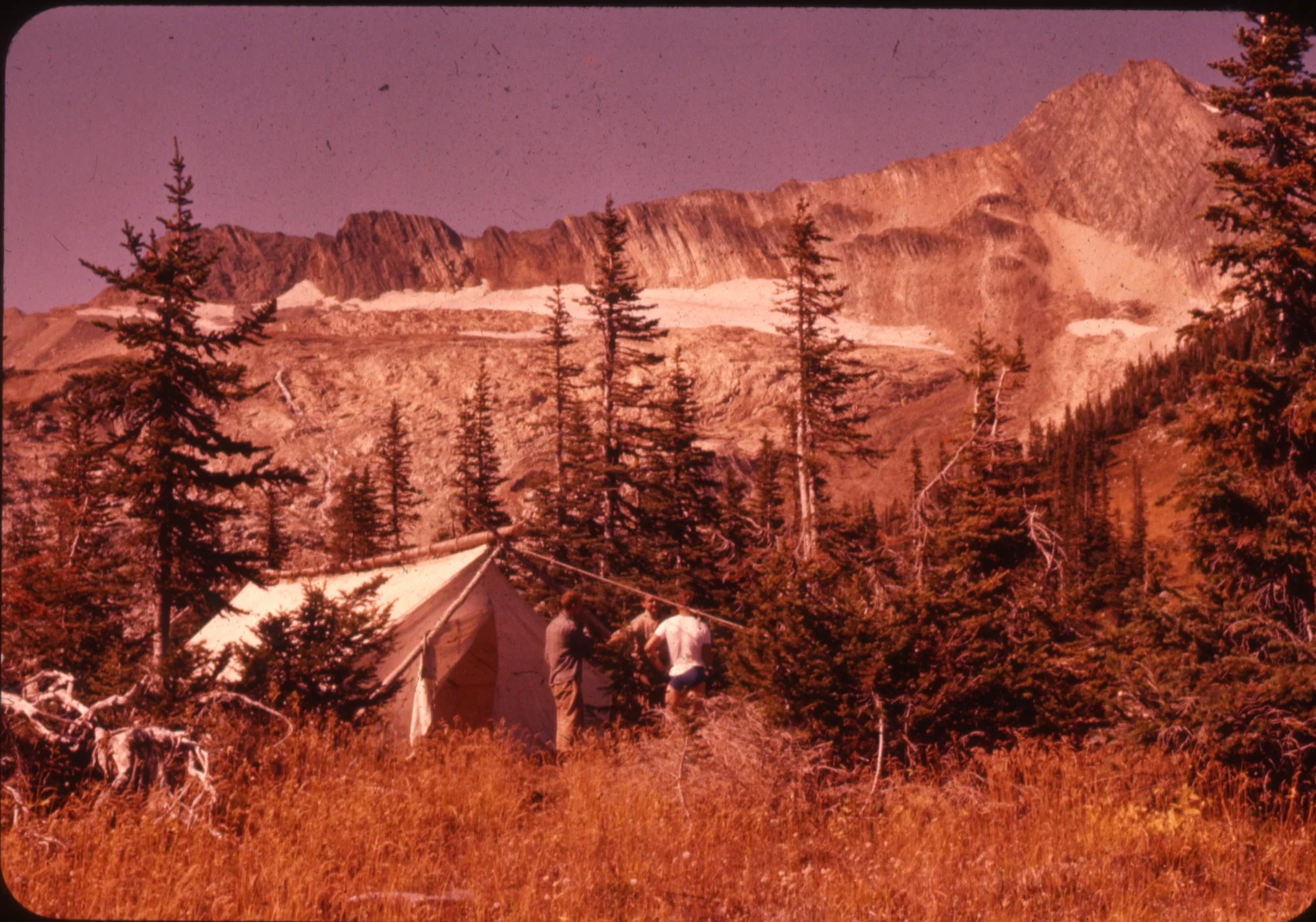 PSS.31 Tent on Balu Pass for construction of the cabin. 1958