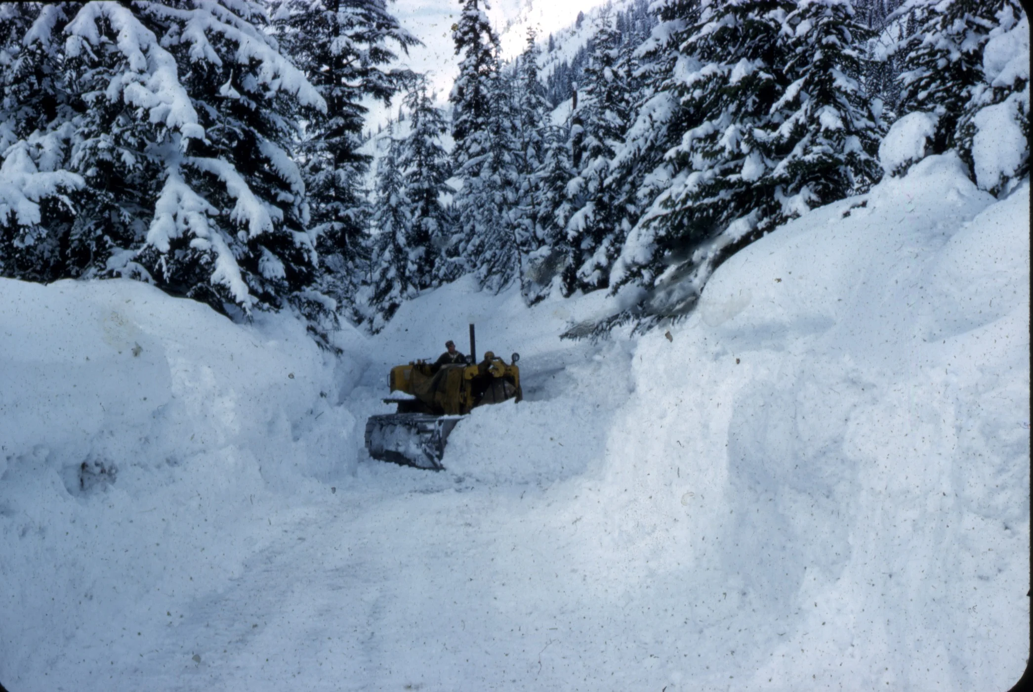 PSS.35 Snow removal by bulldozer on road to Glacier Camp. Mar 1959
