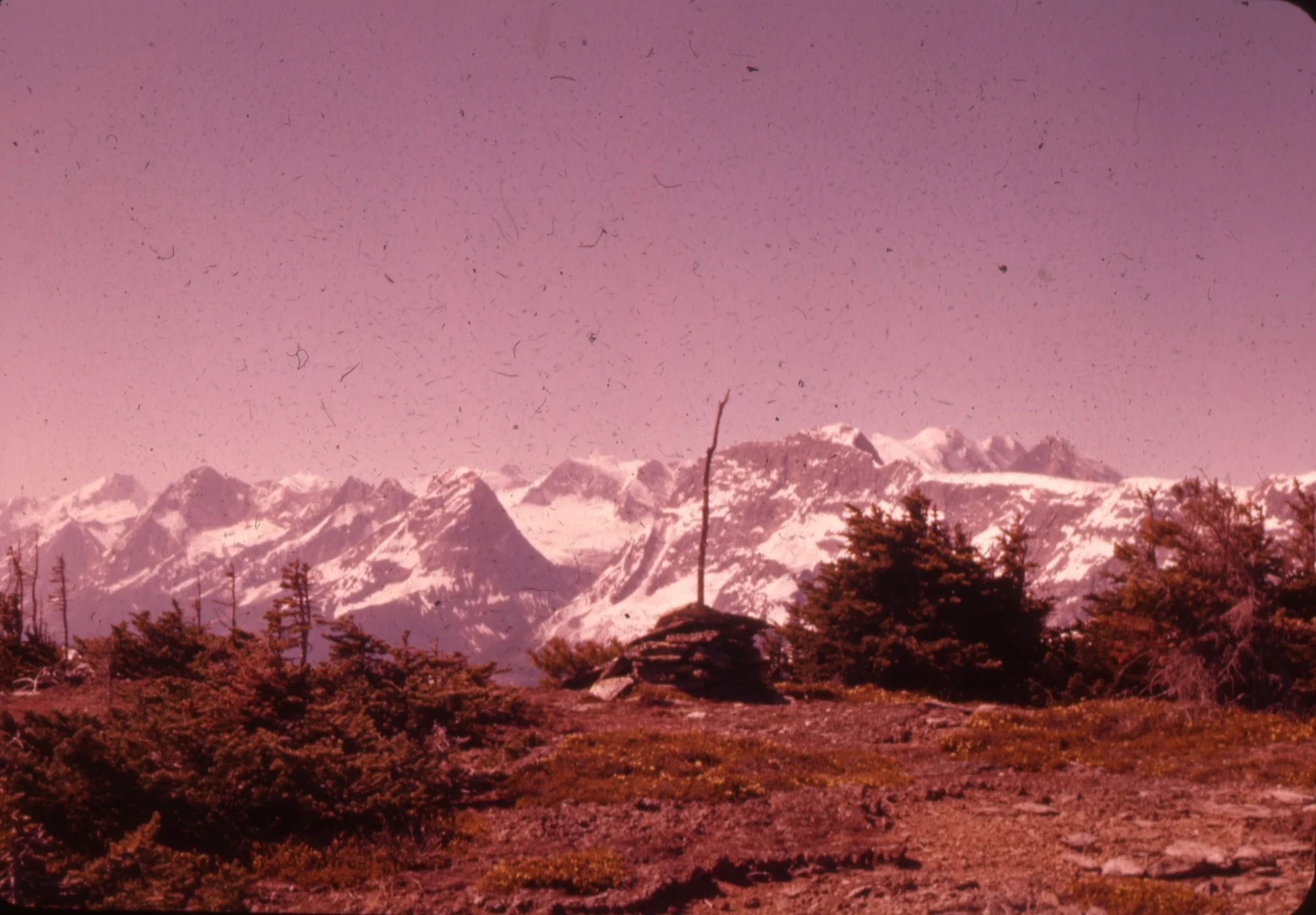 PSS.43 On Bald Mtn. View toward Glacier Circle. Jul. 1959