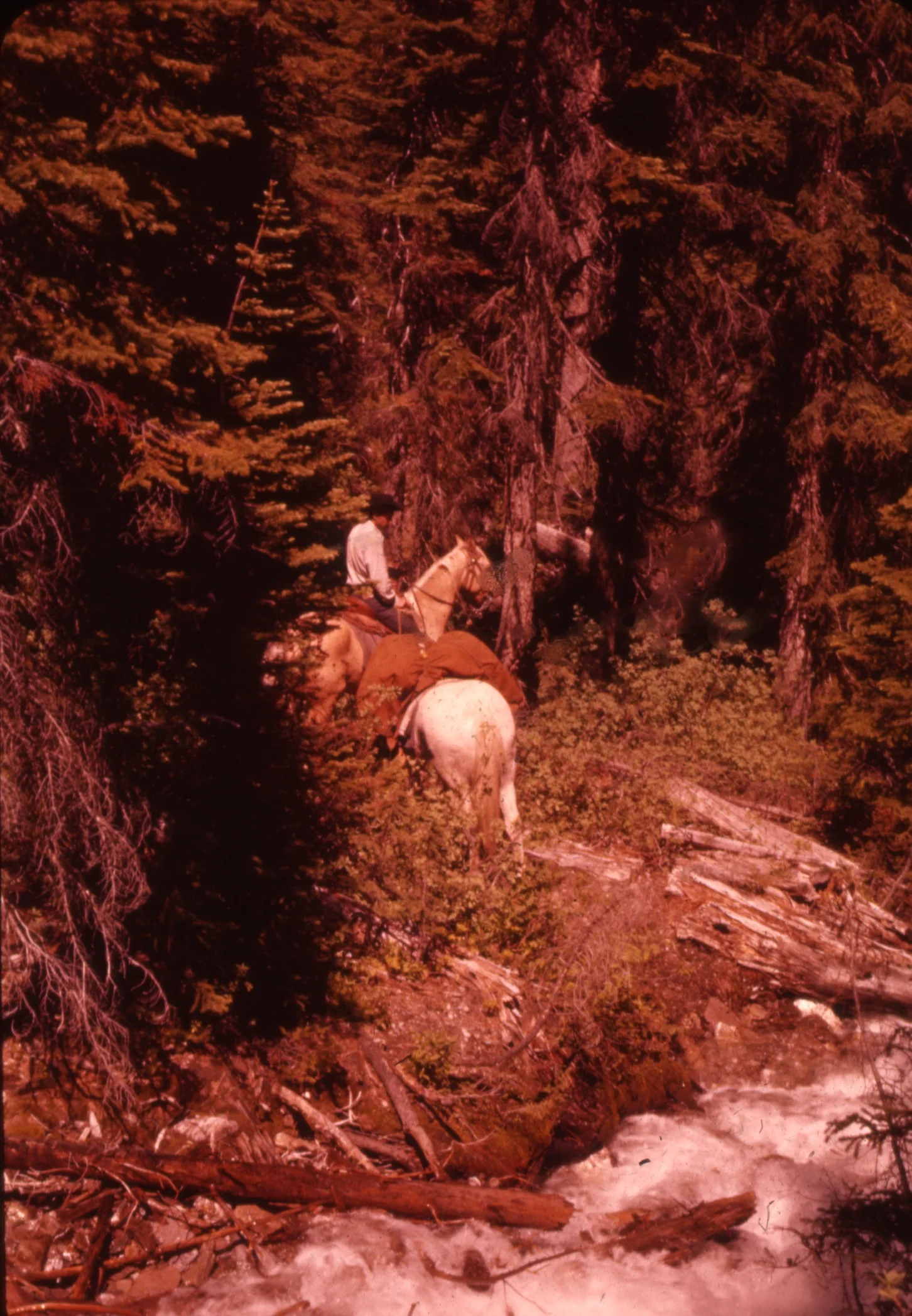 PSS.44. Horseback ride across Bald Mtn. Descent at Grizzly Creek. Jul. 1959