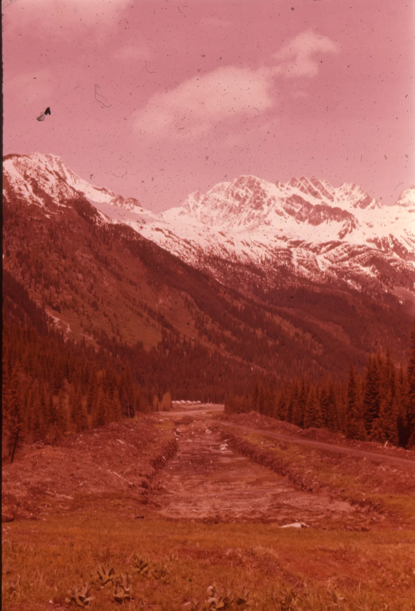PSS.60 Excavation of Bog at Rogers Pass Summit. June 1960