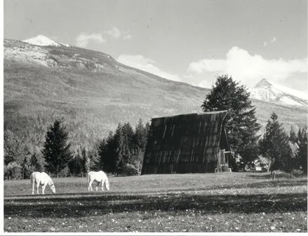 2942 Lanzo Farm with A-Frame Barn, ca 1960.jpg