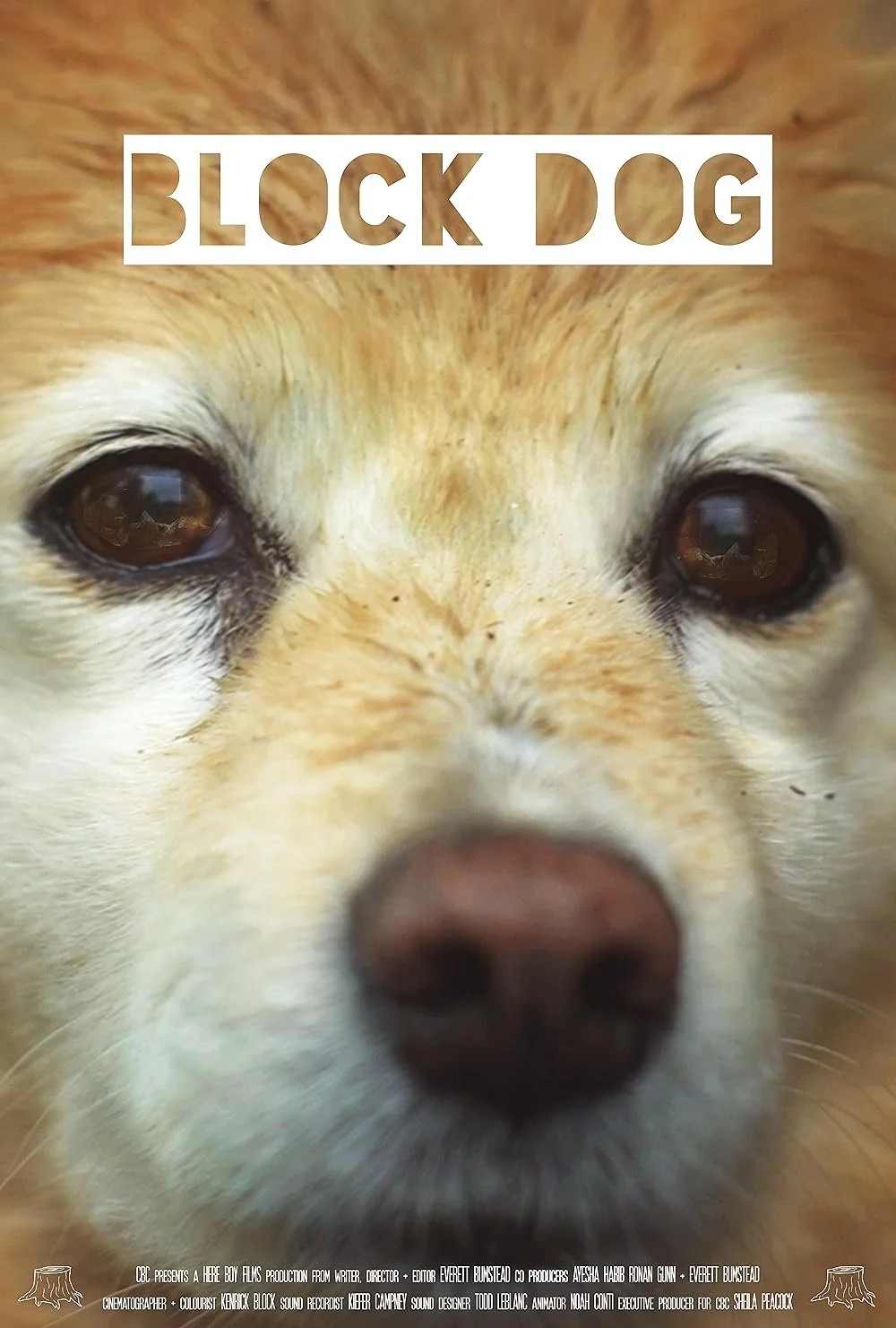 Film Friday: "Block Dog" (January 23rd)