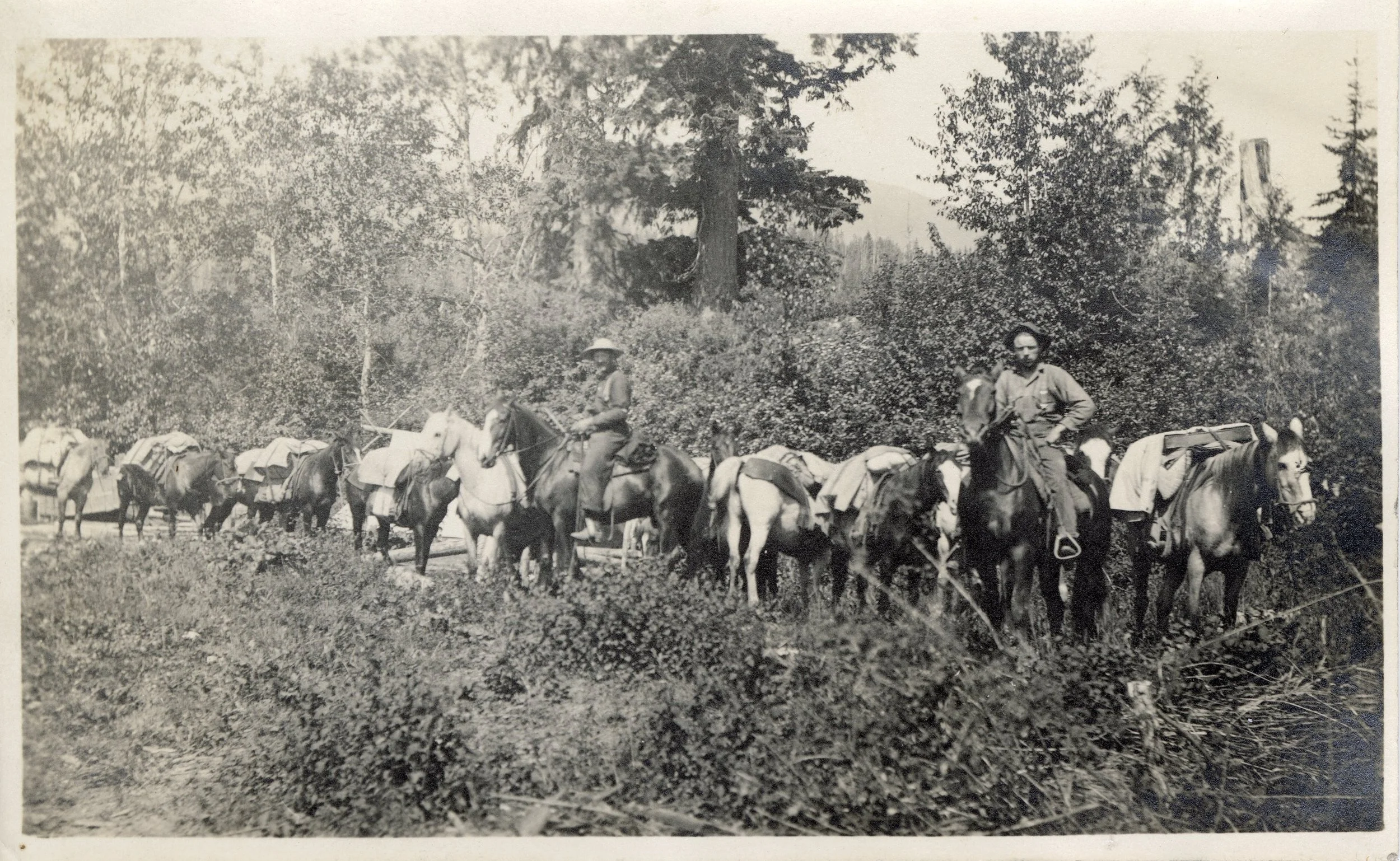 Brown Bag History: "Hunting & Trapping in the Big Bend" (February 25th)