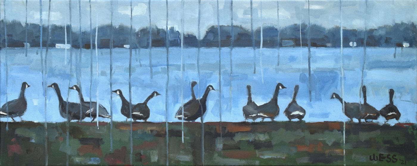 Gaggle of Geese (contact if interested)
