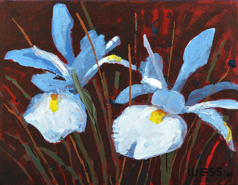 Blue Iris, 12x14.5", $80