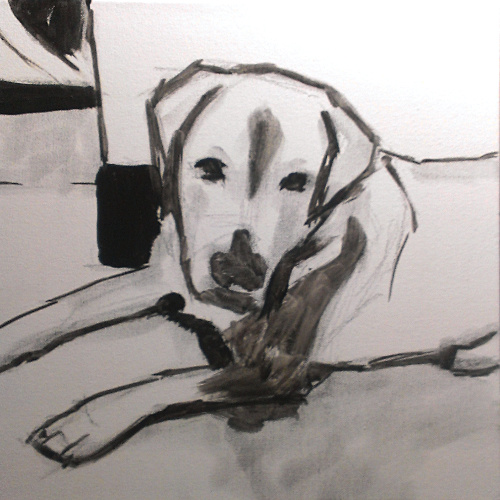 dog02.jpg