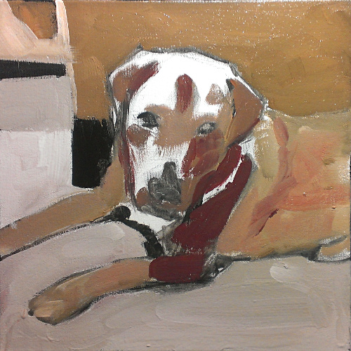 dog03.jpg