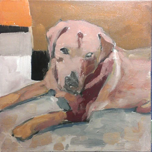dog04.jpg