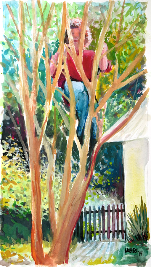 Climbing the Crepe Myrtle, 13.5x7.5", $125