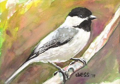 Chickadee