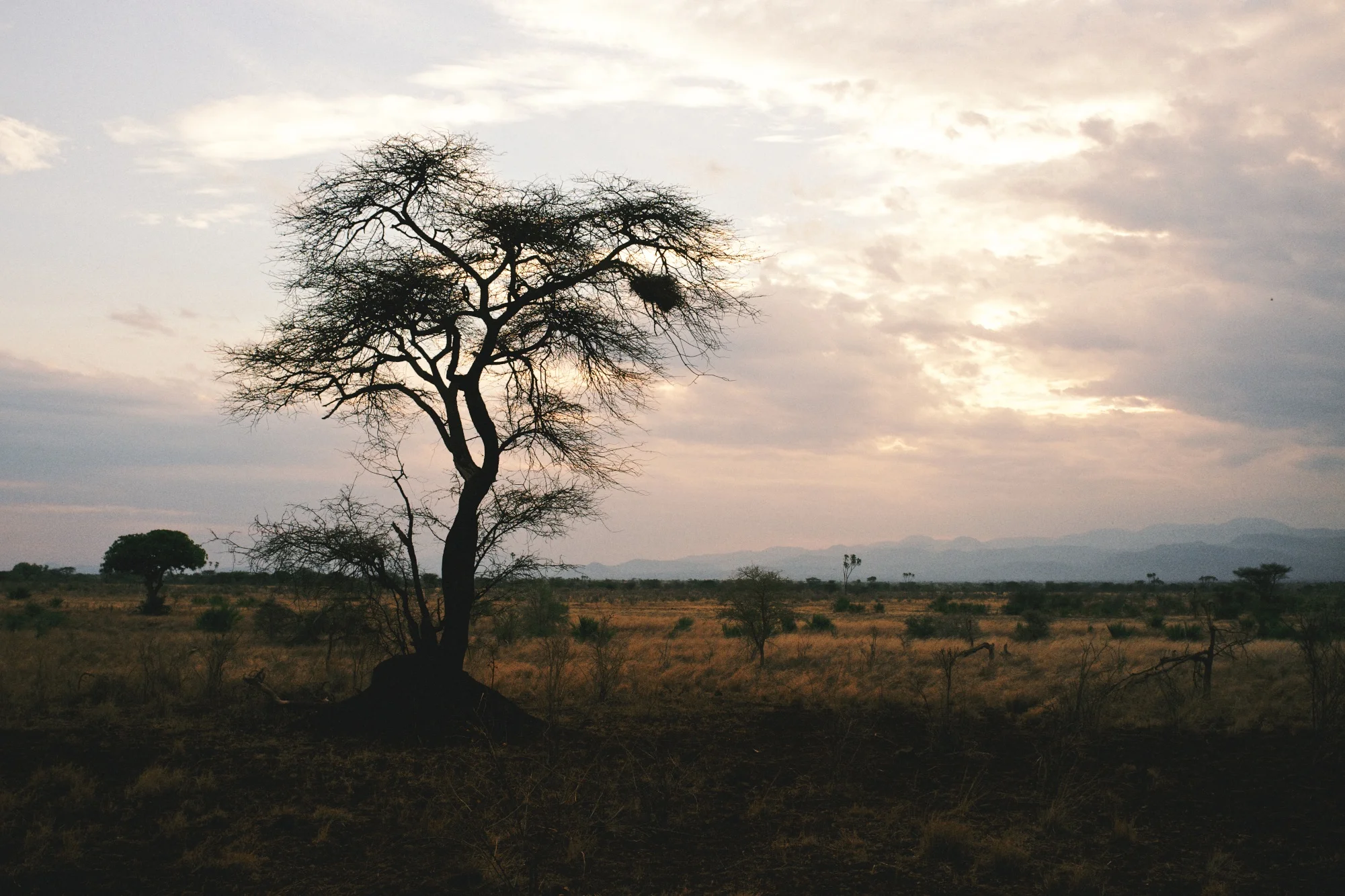 DSCF1398 - Version 2.jpg