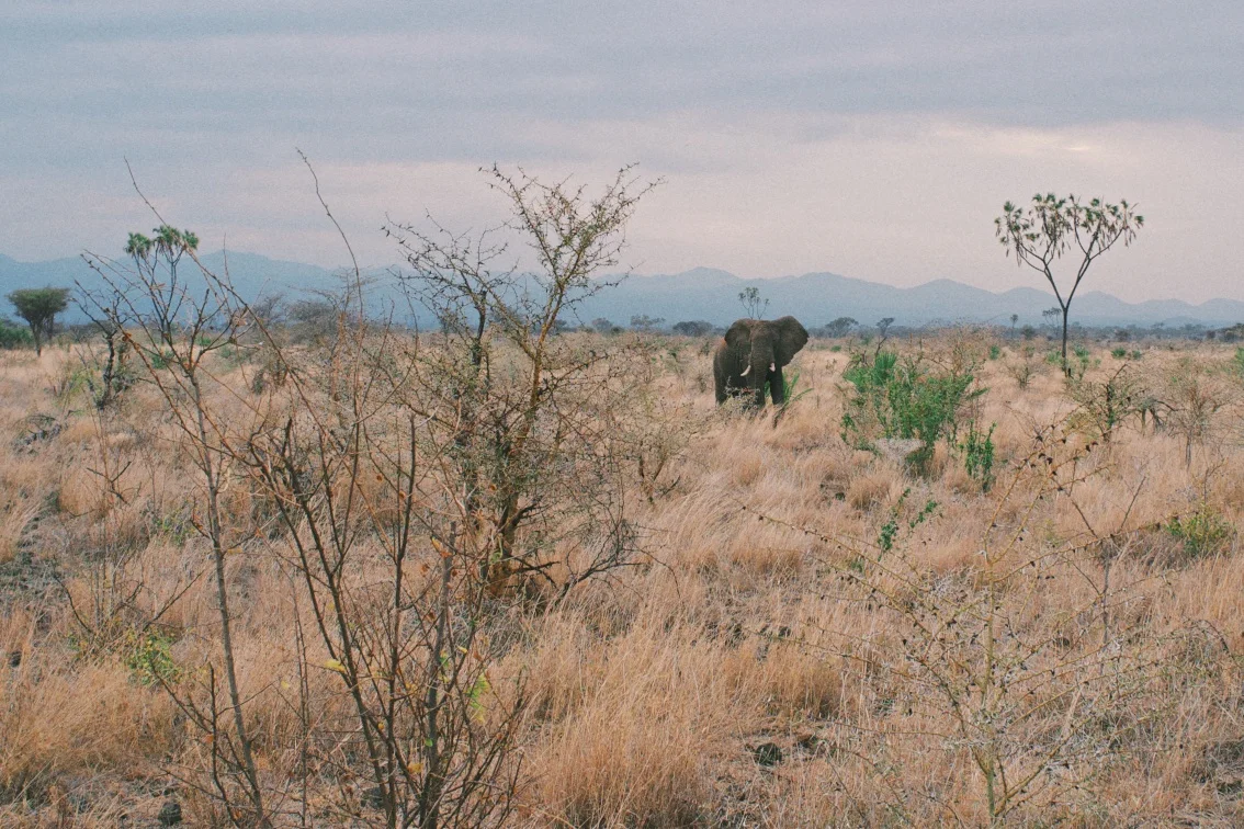 DSCF1391 - Version 2.jpg