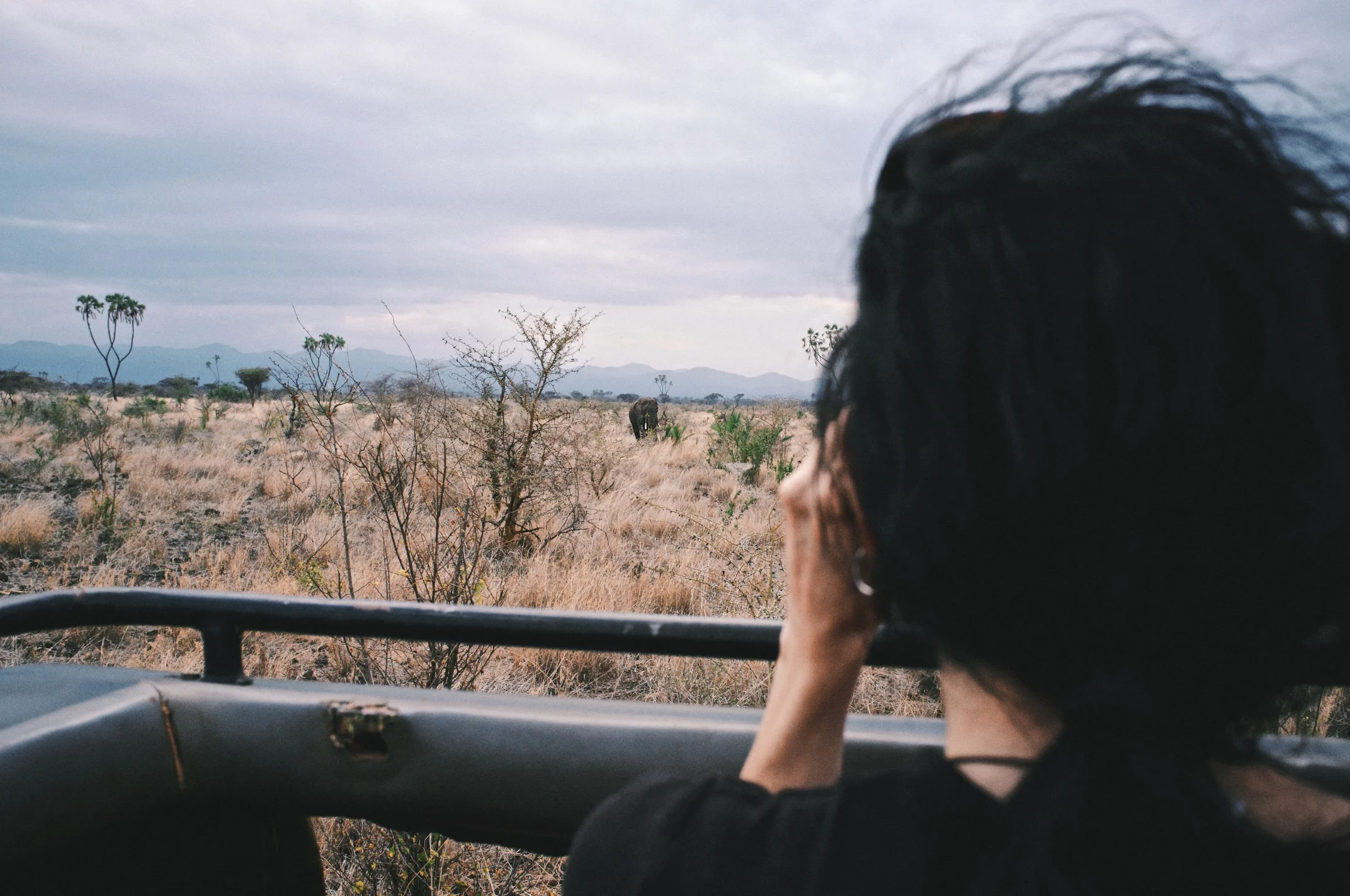 DSCF1389 - Version 2.jpg