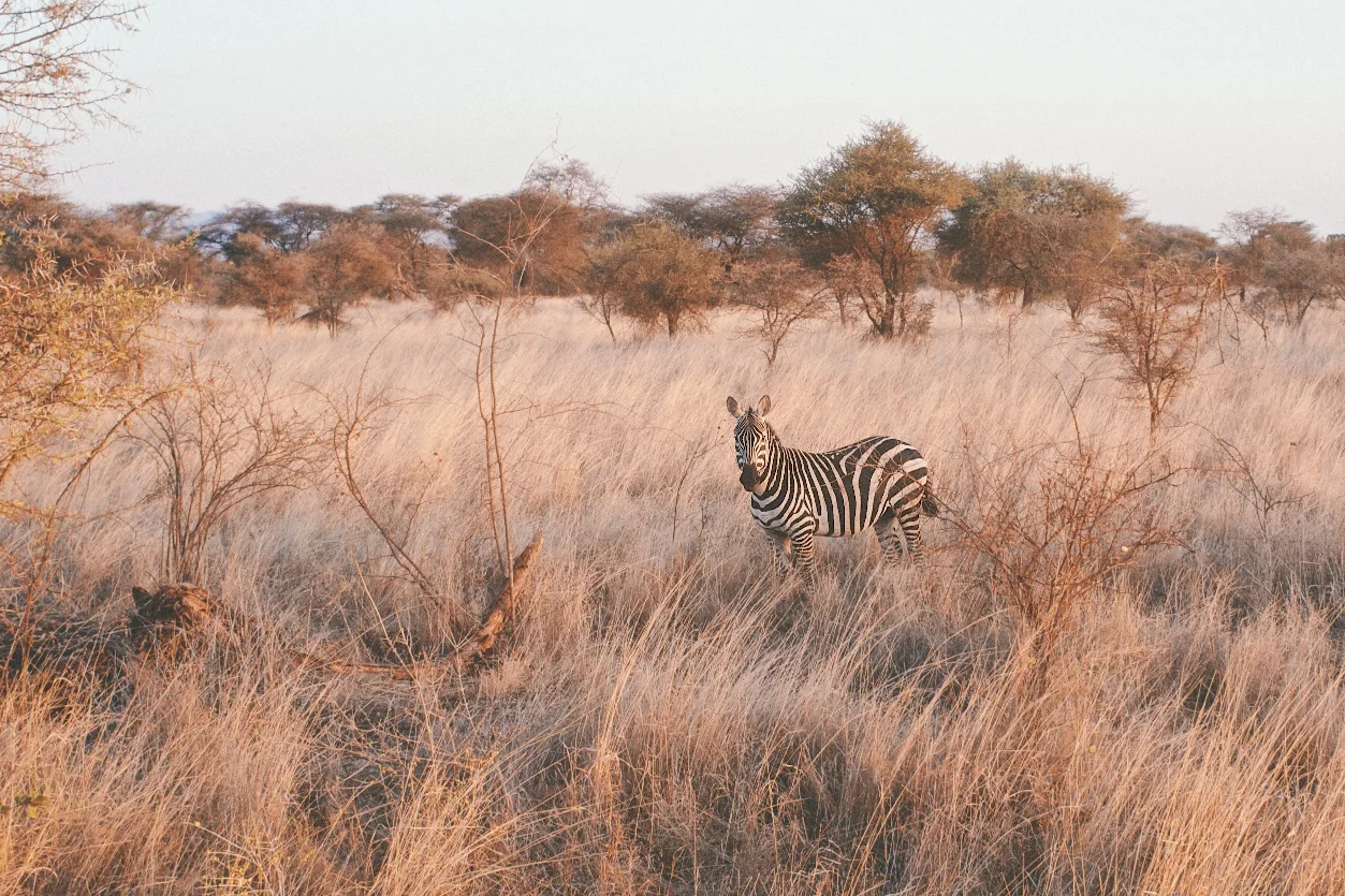 DSCF1424 - Version 2.jpg