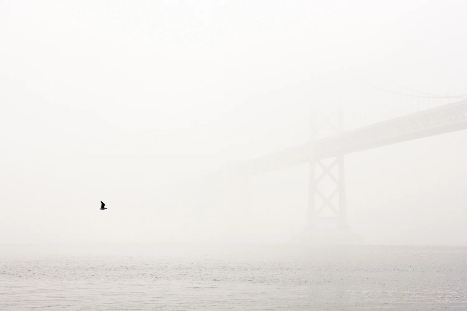 Bay Bridge with fog 
