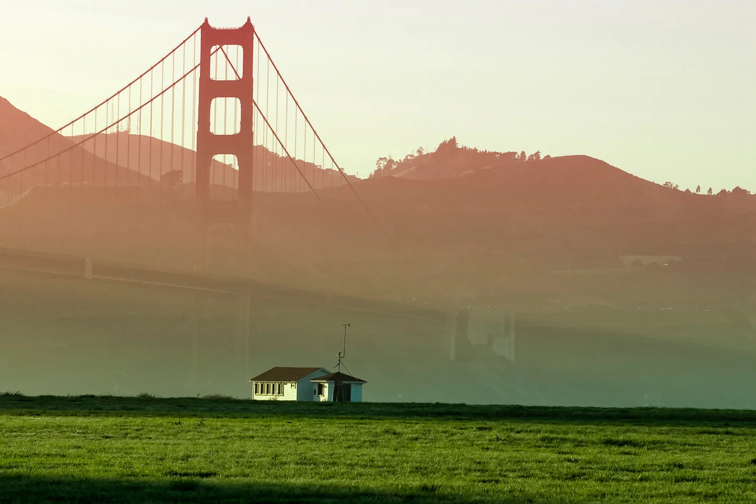 Golden Gate bridge From Cressy Field