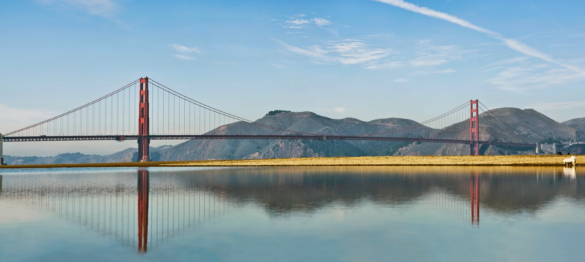 Golden Gate bridge Cressy Field Marina Green