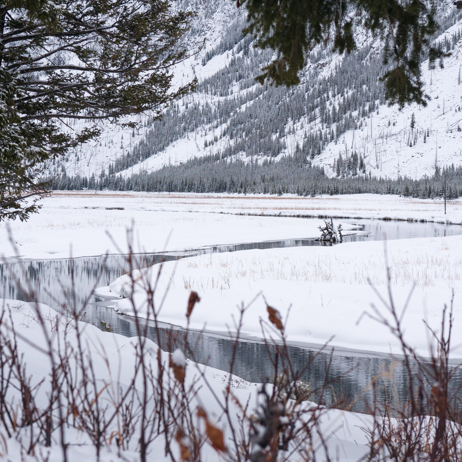 West Yellowstone in Winter