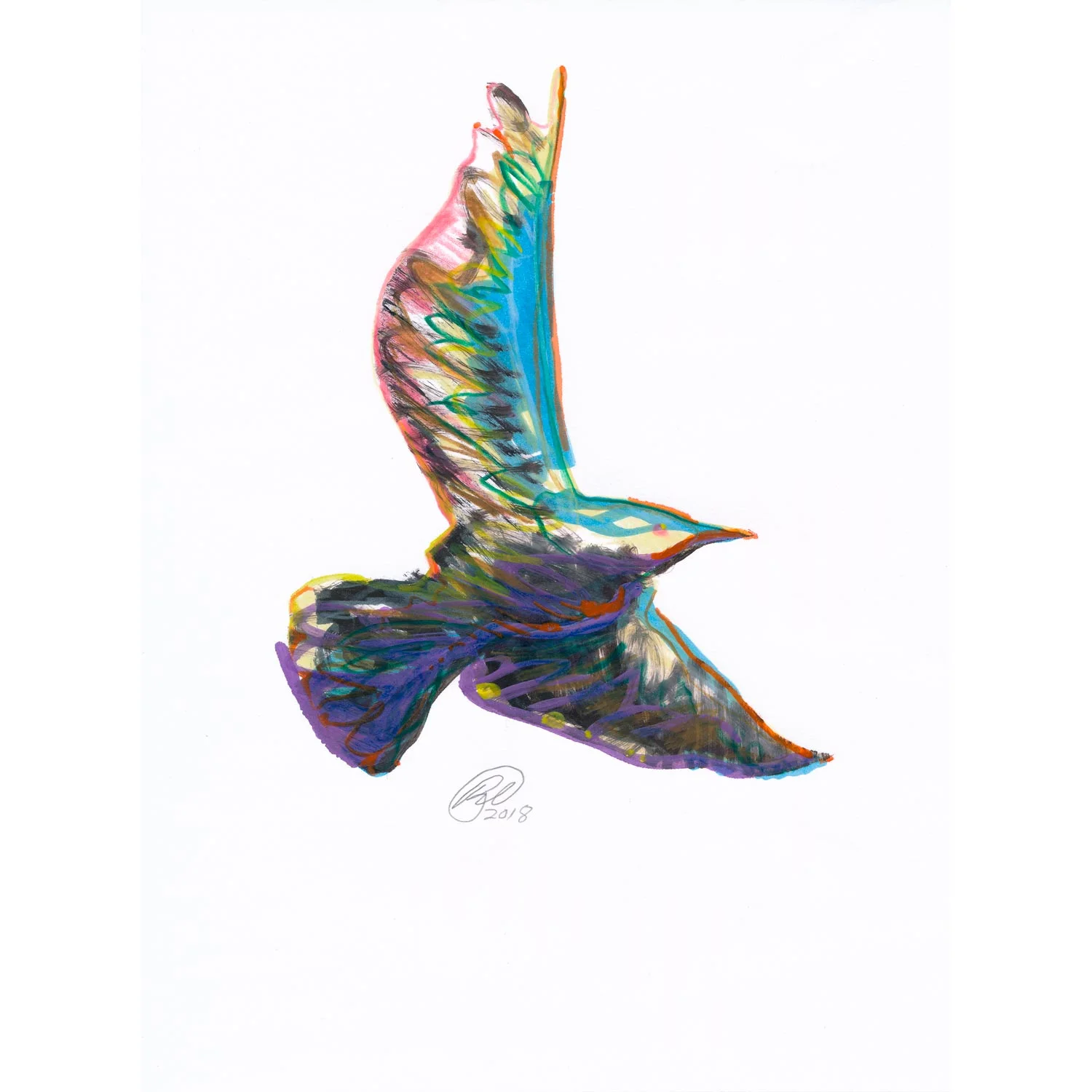 Seagull 2018 Colored pencil, paint marker, and ink on cotton rag paper 8” x 10”