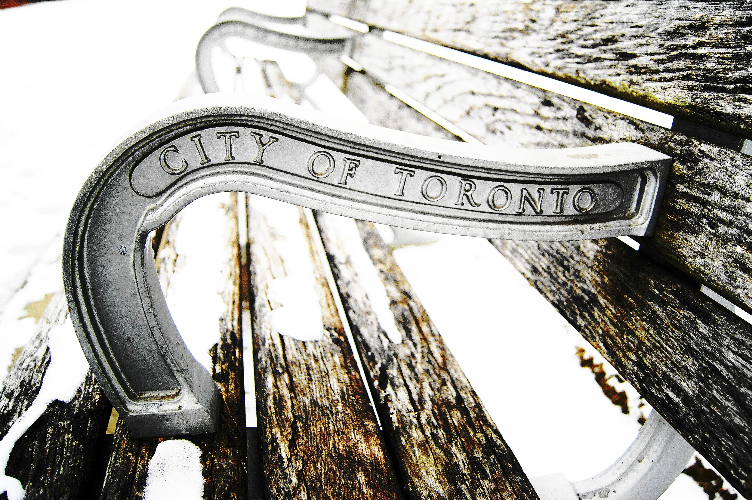 City of Toronto Bench