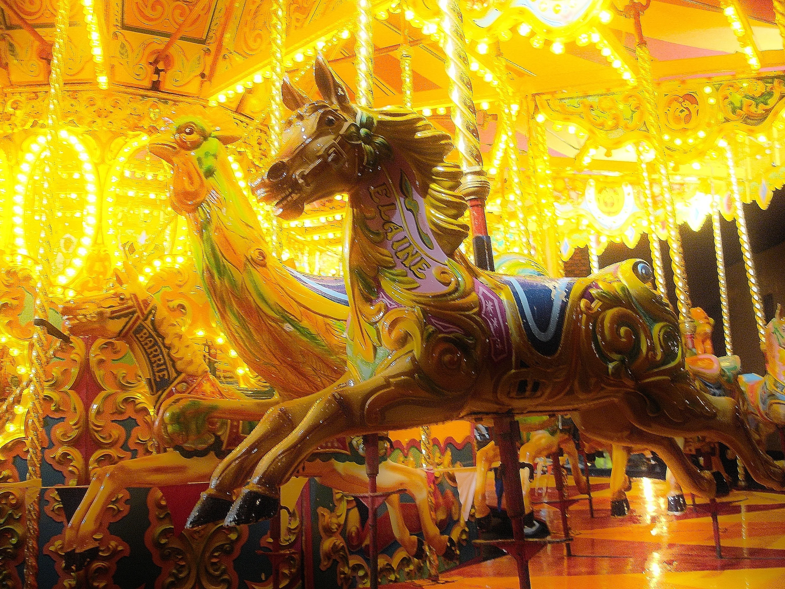 Carousel Animals