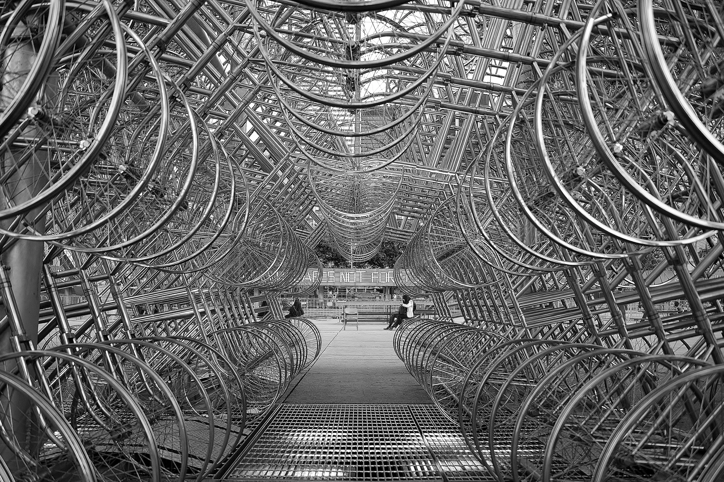 Forever Bicycles Black & White