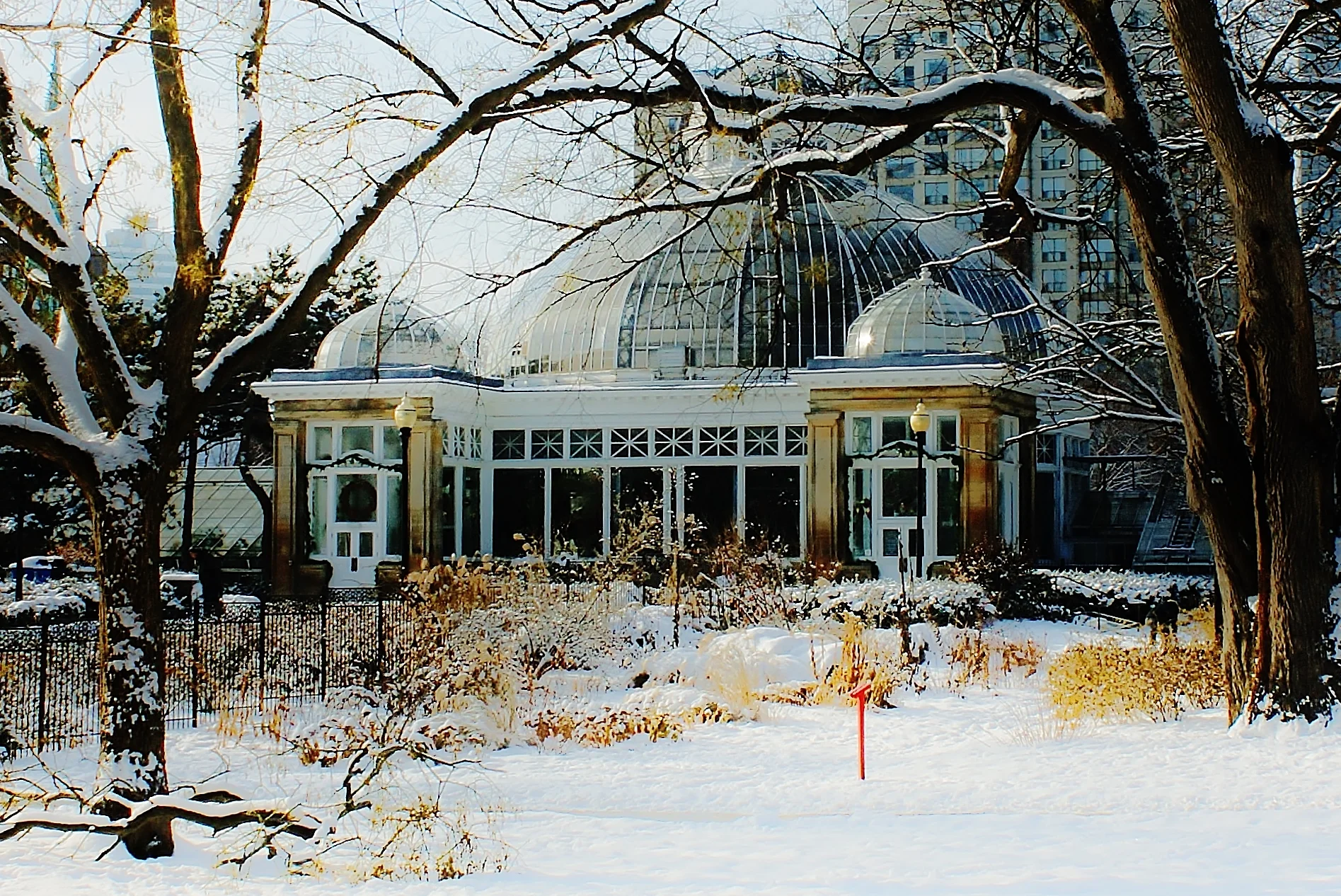 Allan Gardens