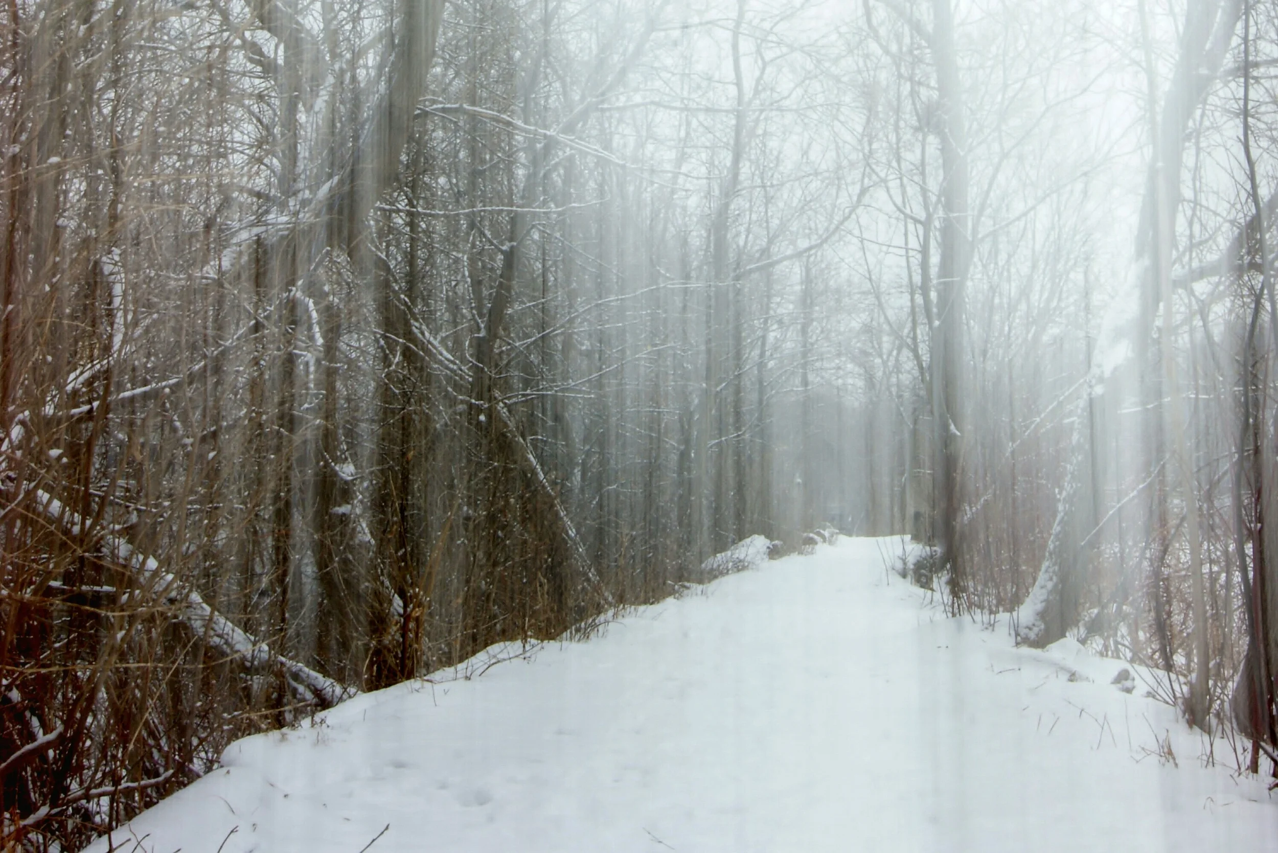 Ghostwood Landscape