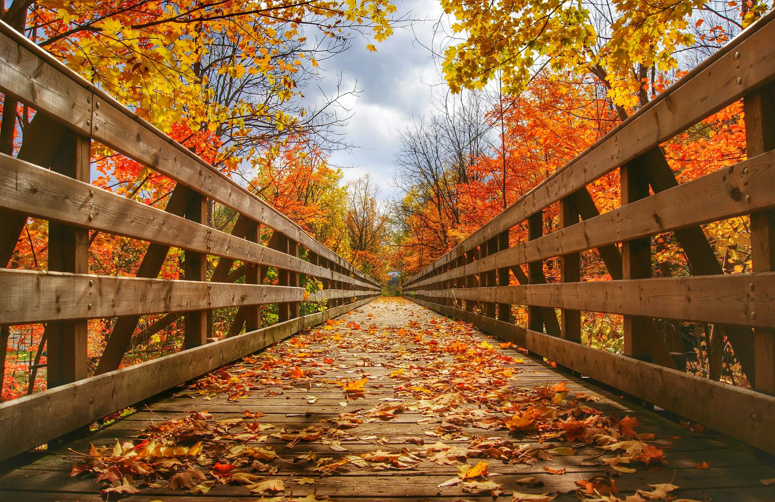 Fall Vanishing Point.
