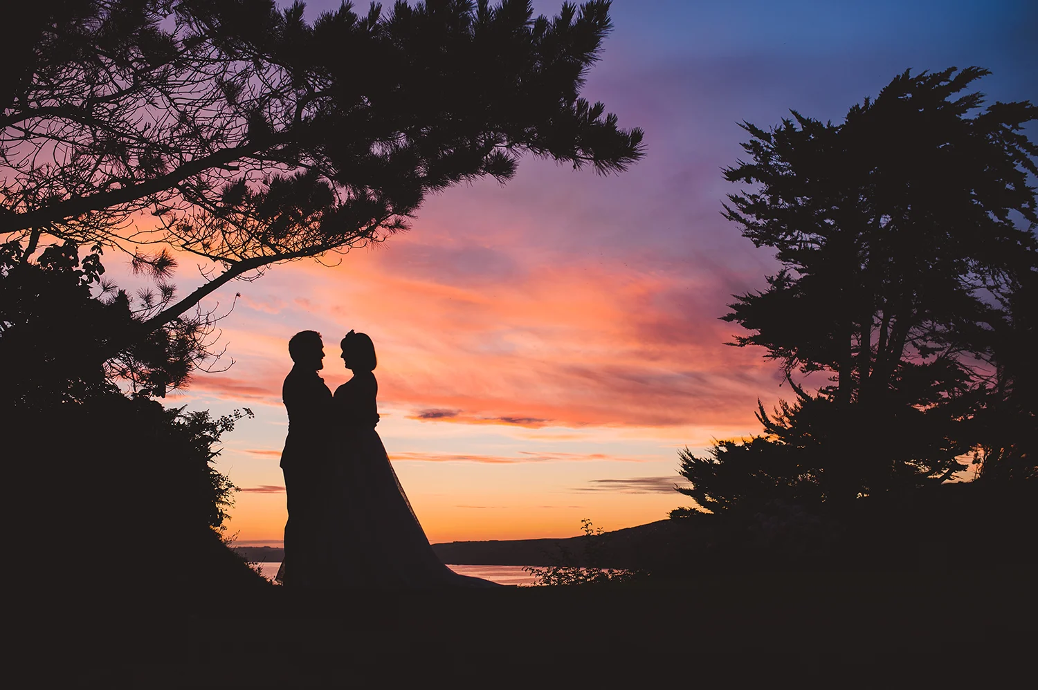 Emily & Freddy The Wedding Highlights