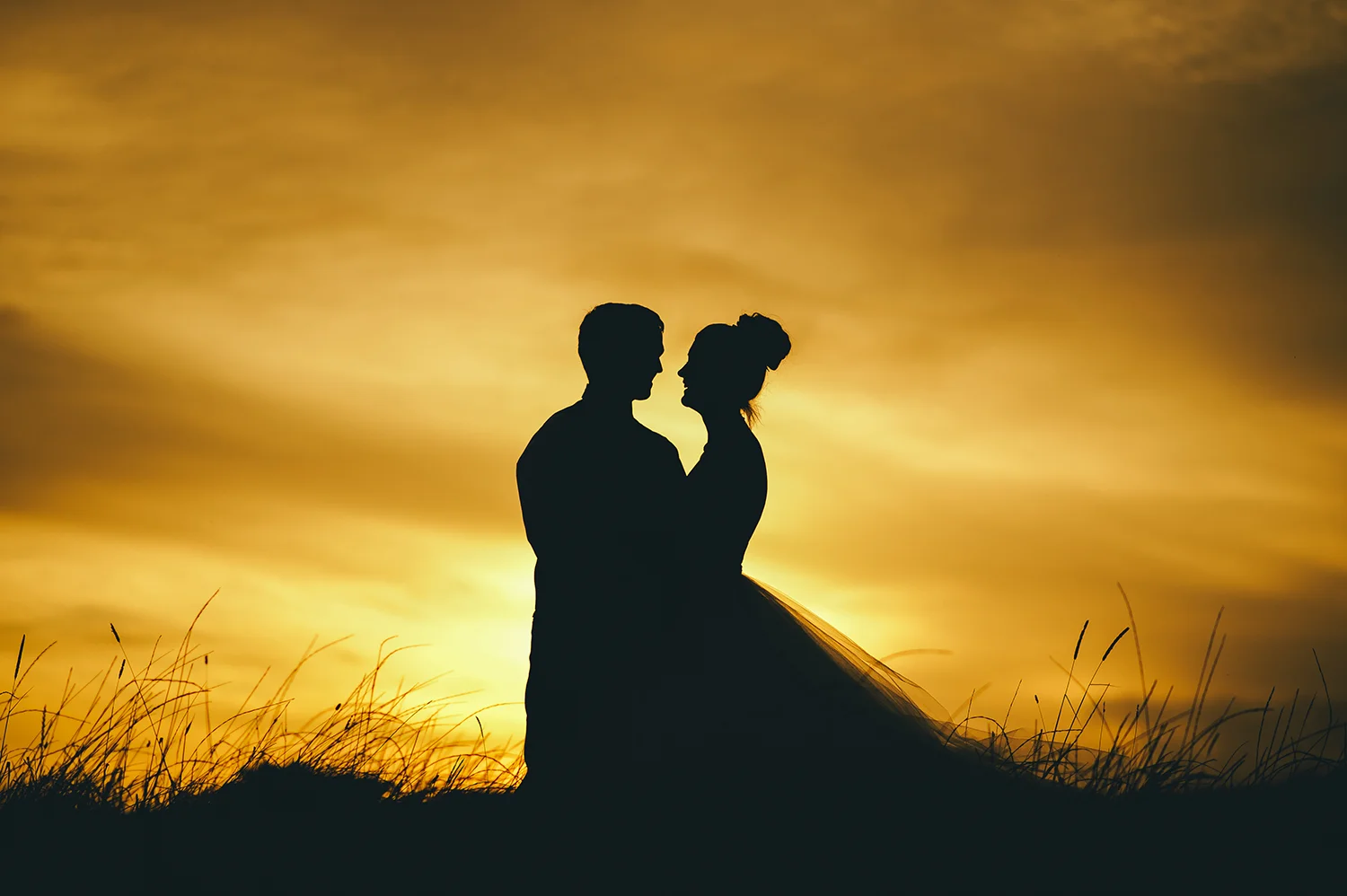 Gemma & Phill The Wedding Highlights