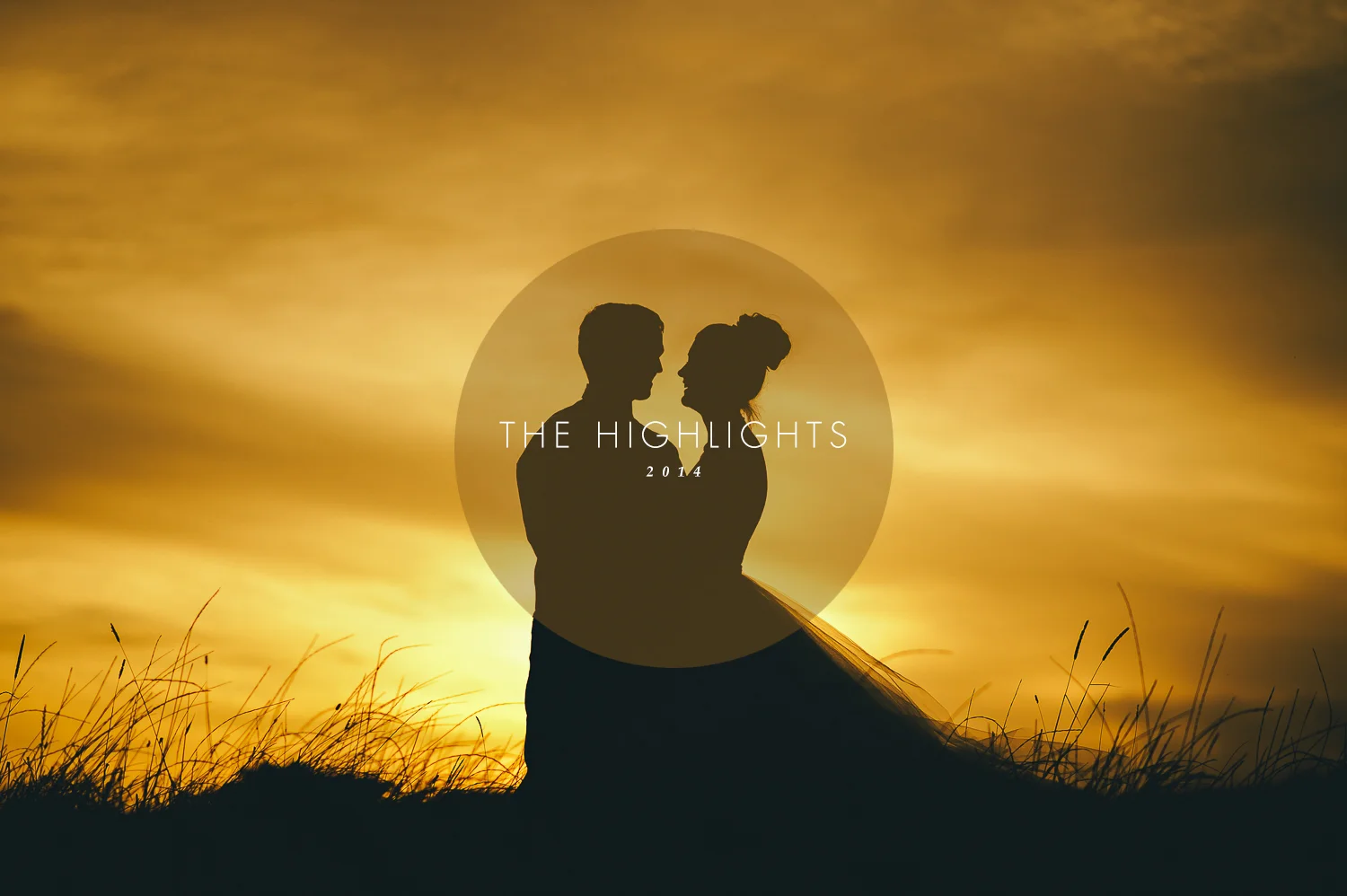 2014 The Highlights