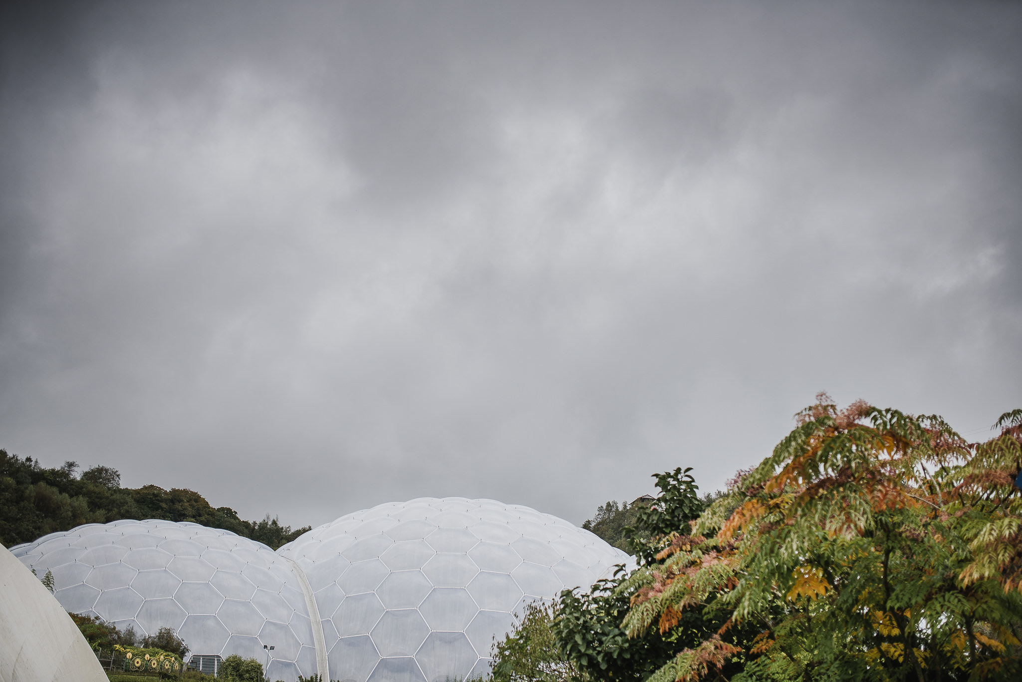 CORNWALL-WEDDING-PHOTOGRAPHER-2852.jpg