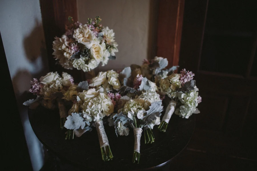 searles-9.jpg