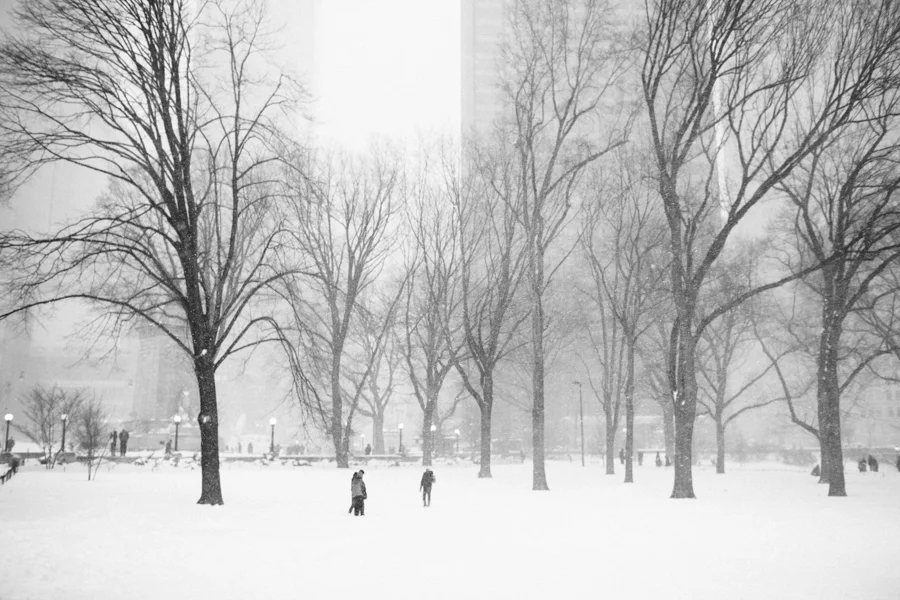 untitled-6.jpg