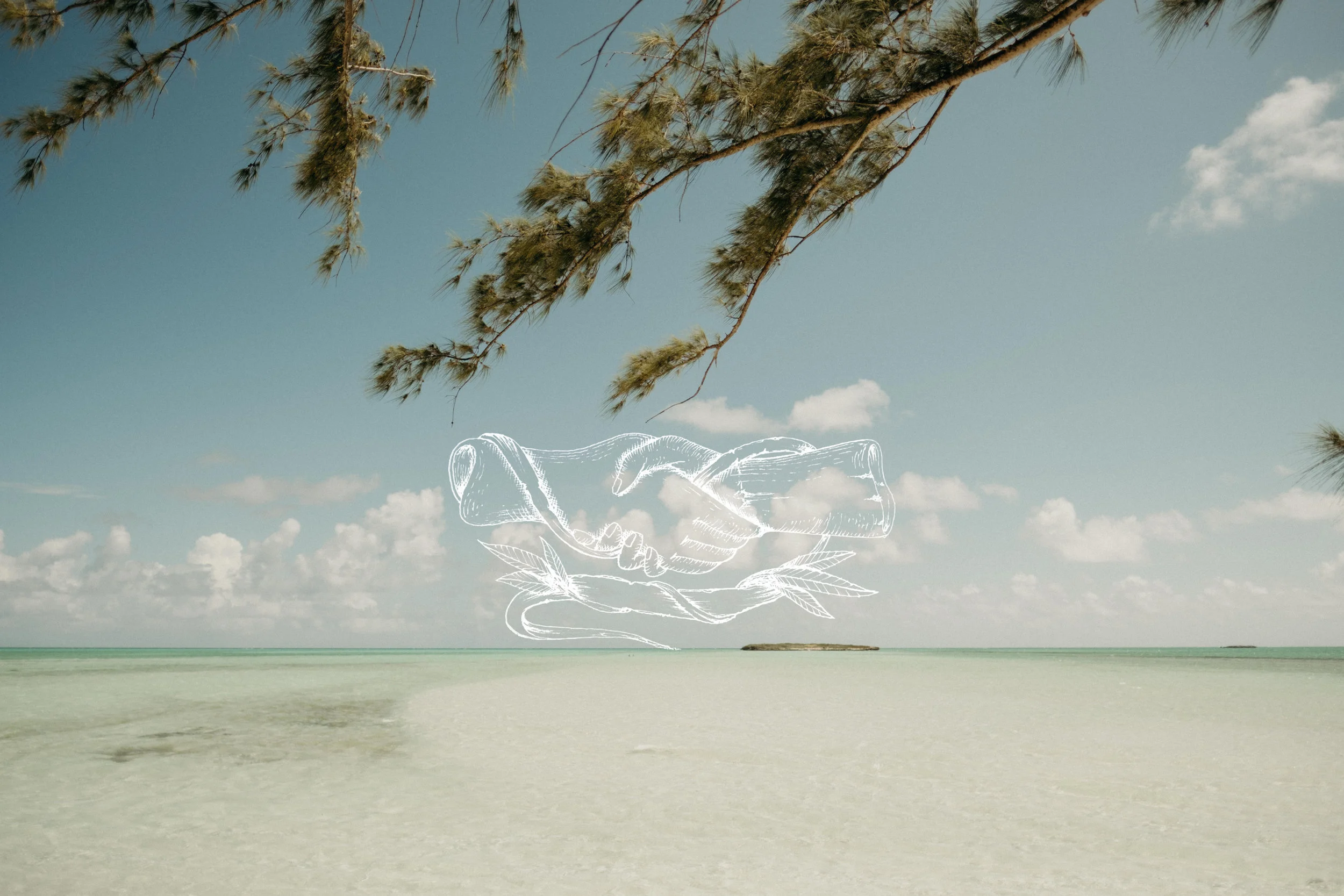 blogheadphoto.jpg