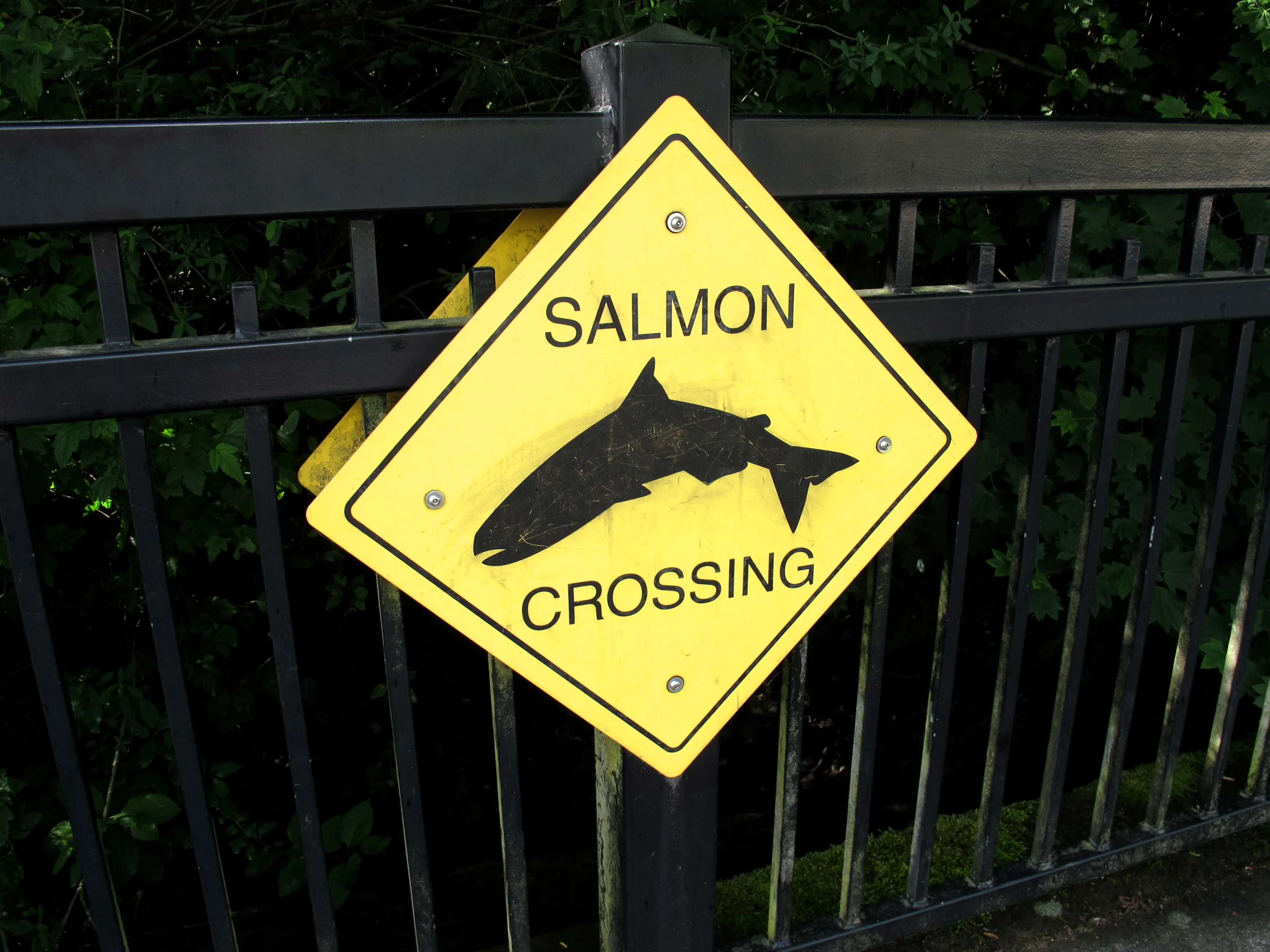 Vancouver Dining