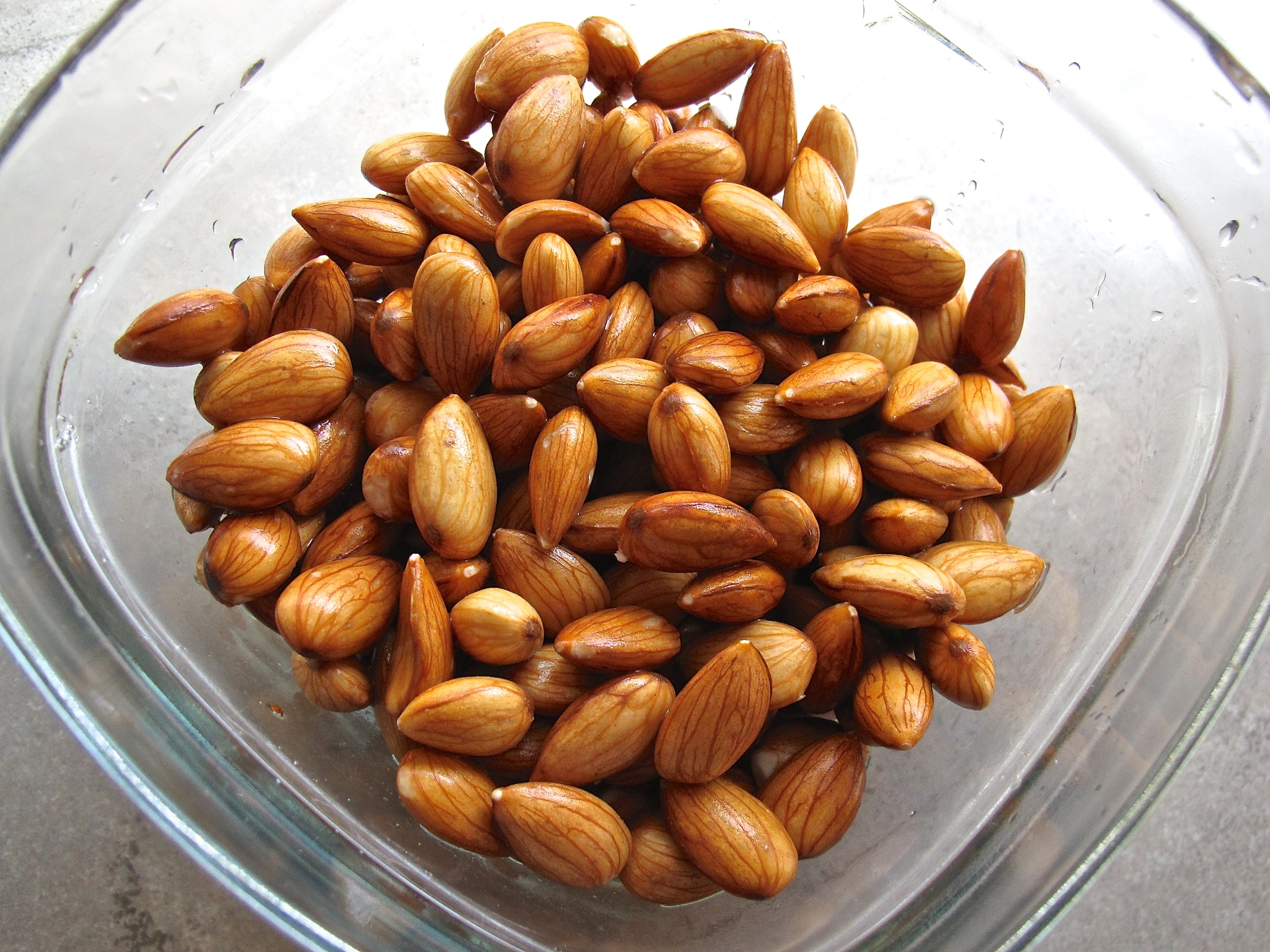 Almond Milk and Almond Flour Recipe {Dairy Free, Paleo} — Tasting Page