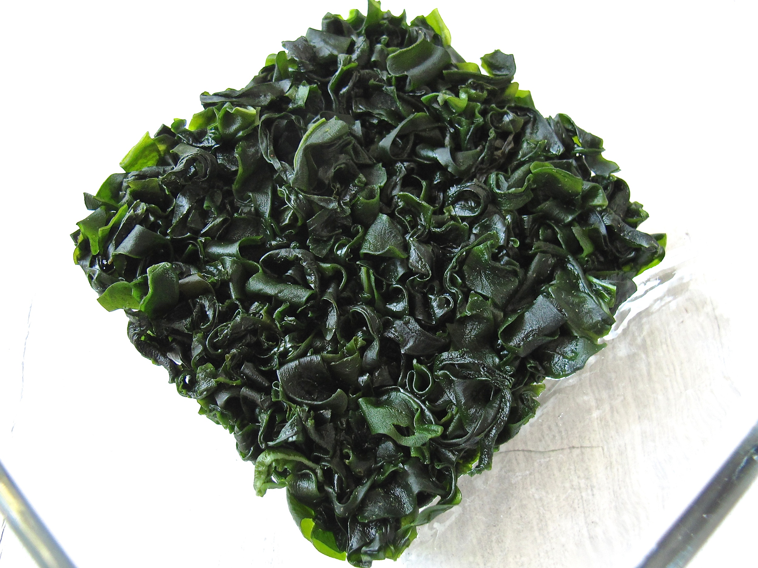 Seaweed Pesto Tasting Page