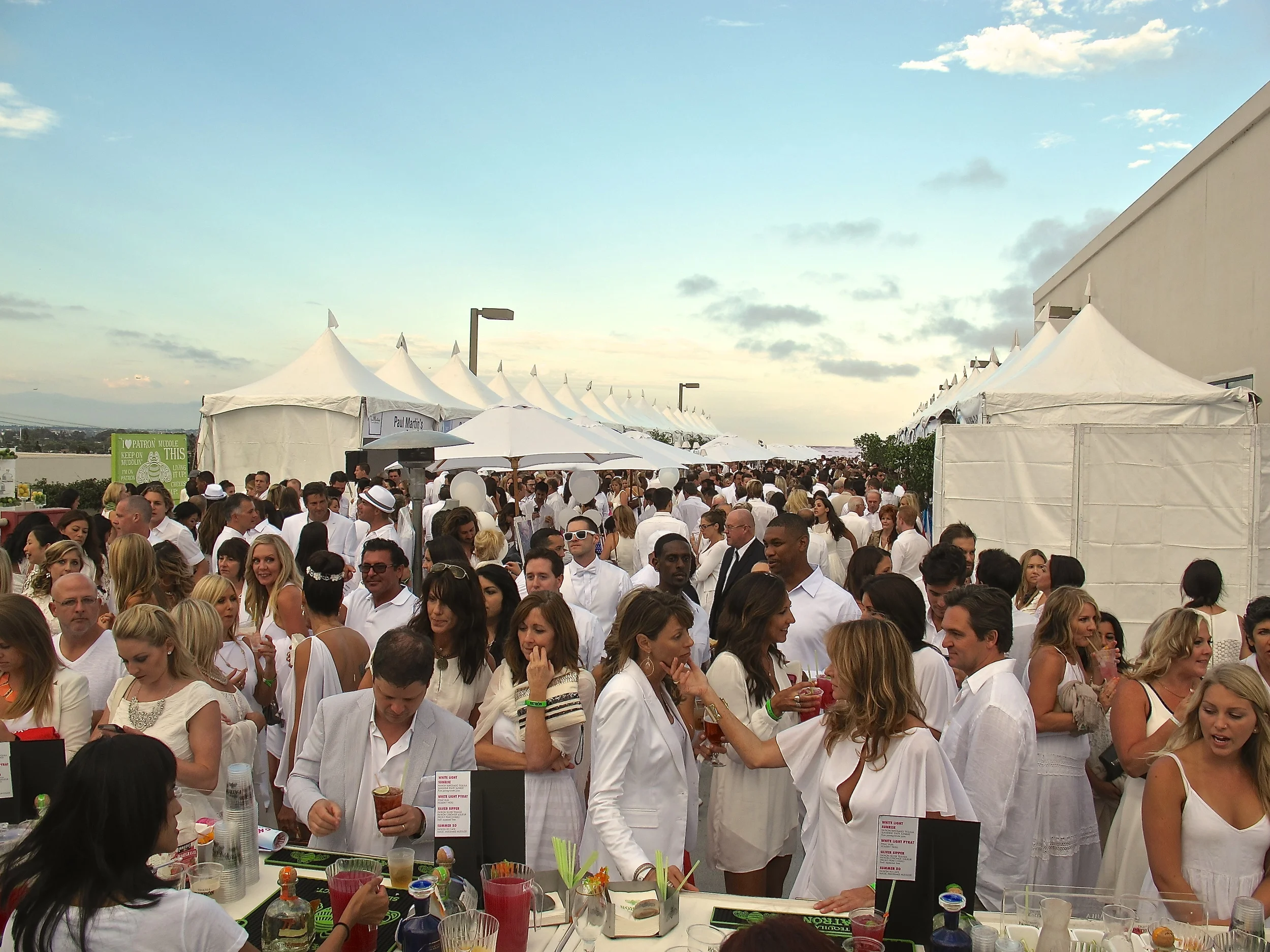 White Light White Night, Walk with Sally Benefit