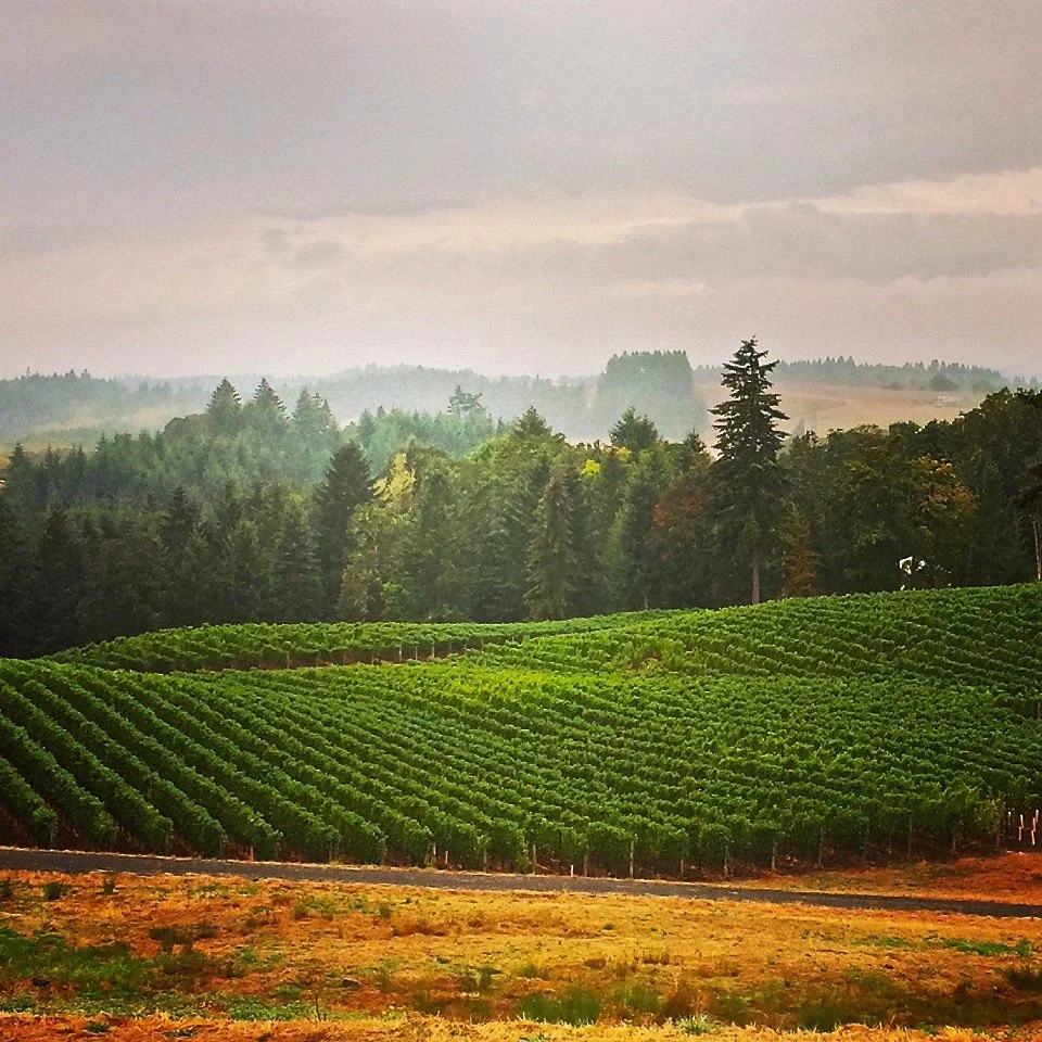 Willamette Valley Wineries